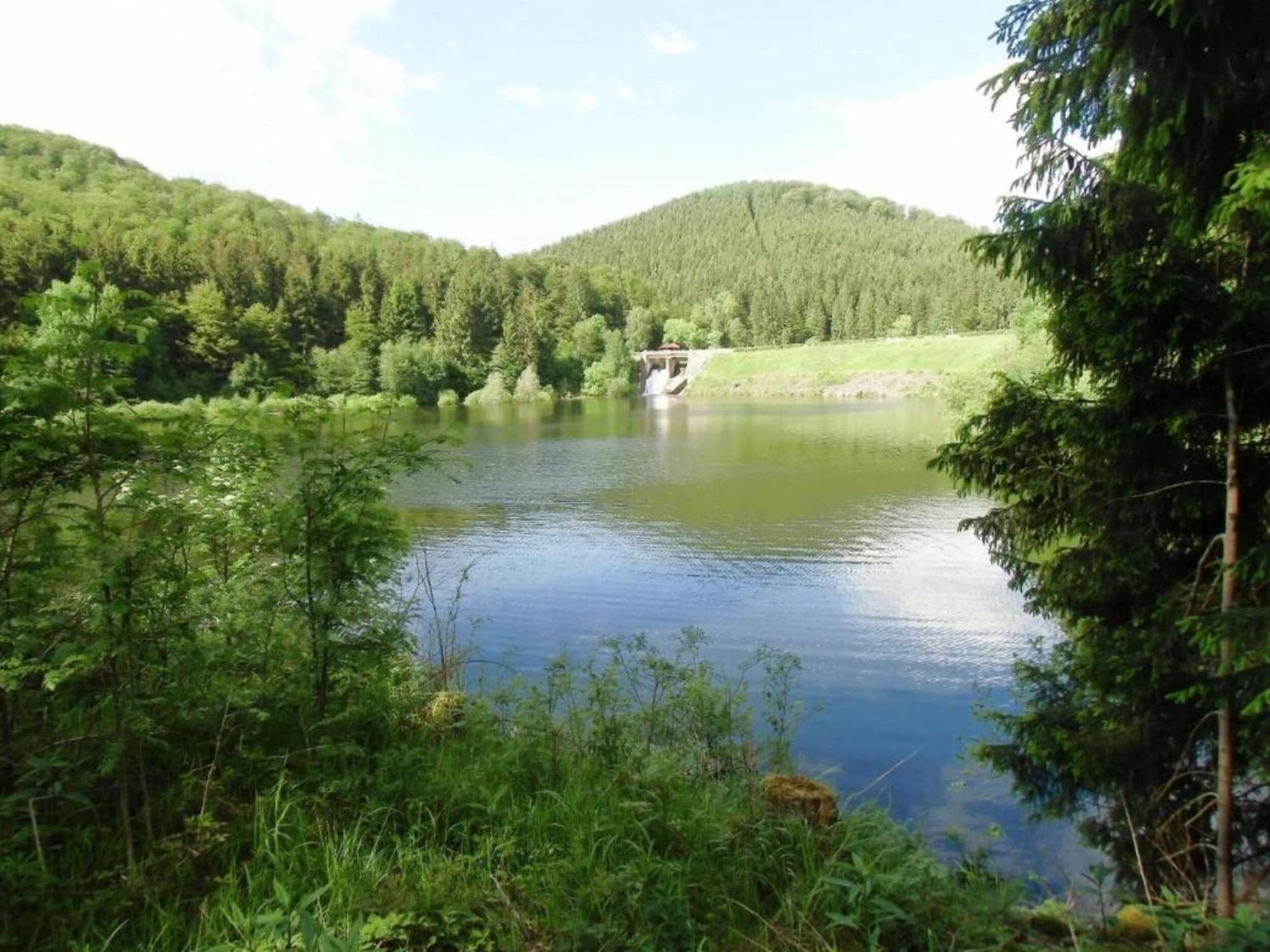 Detached Holiday Residence In The Wonderfully Beautiful Harz Kamschlacken Esterno foto