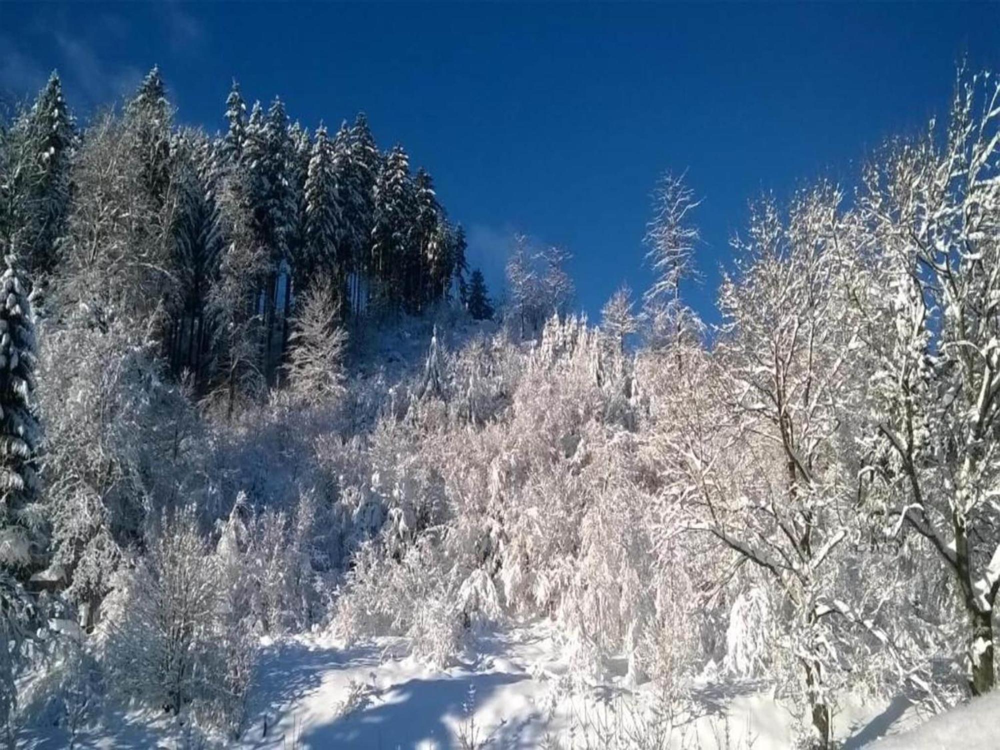 Detached Holiday Residence In The Wonderfully Beautiful Harz Kamschlacken Esterno foto