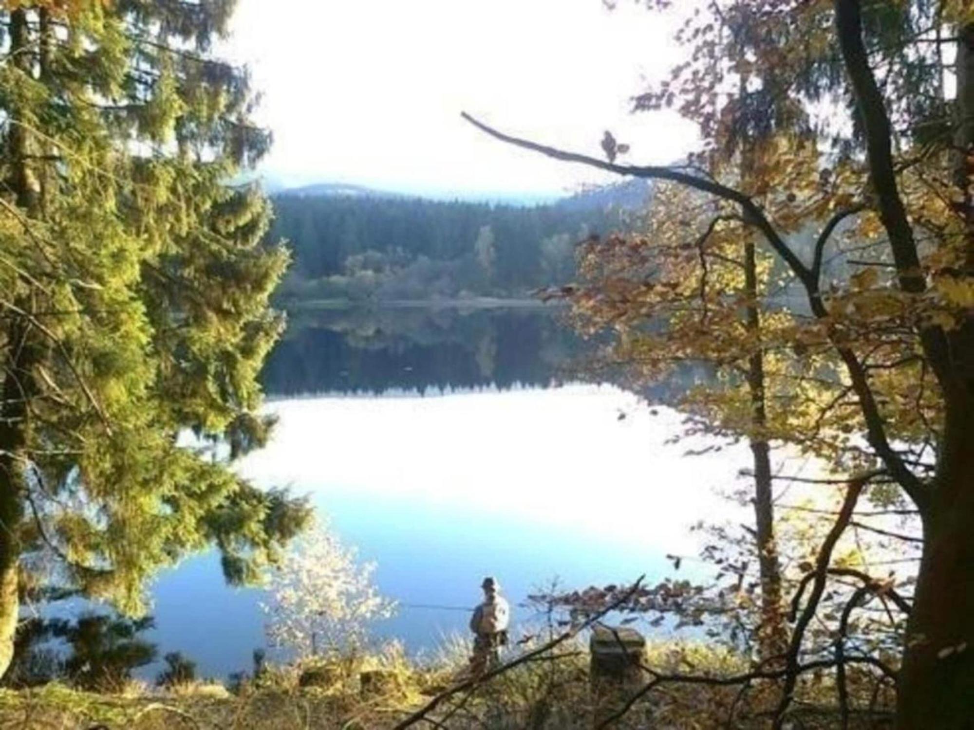 Detached Holiday Residence In The Wonderfully Beautiful Harz Kamschlacken Esterno foto